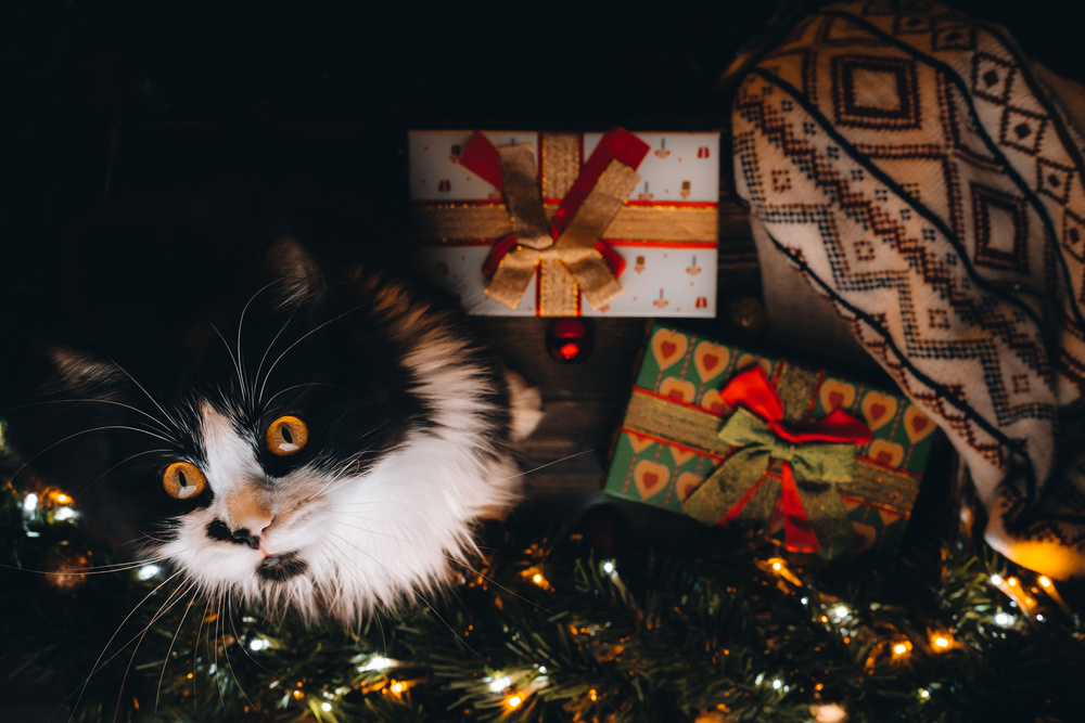 Открытки с Новым годом 2021