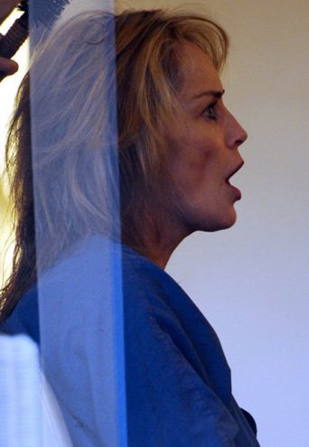 Шэрон Стоун