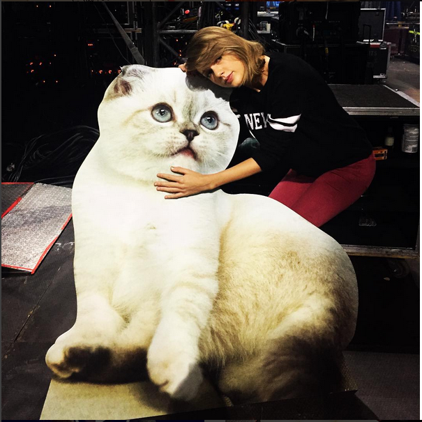 Тейлор Свифт