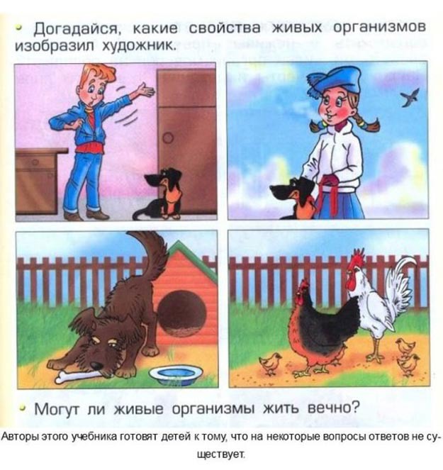 Интересные задания в современных учебниках