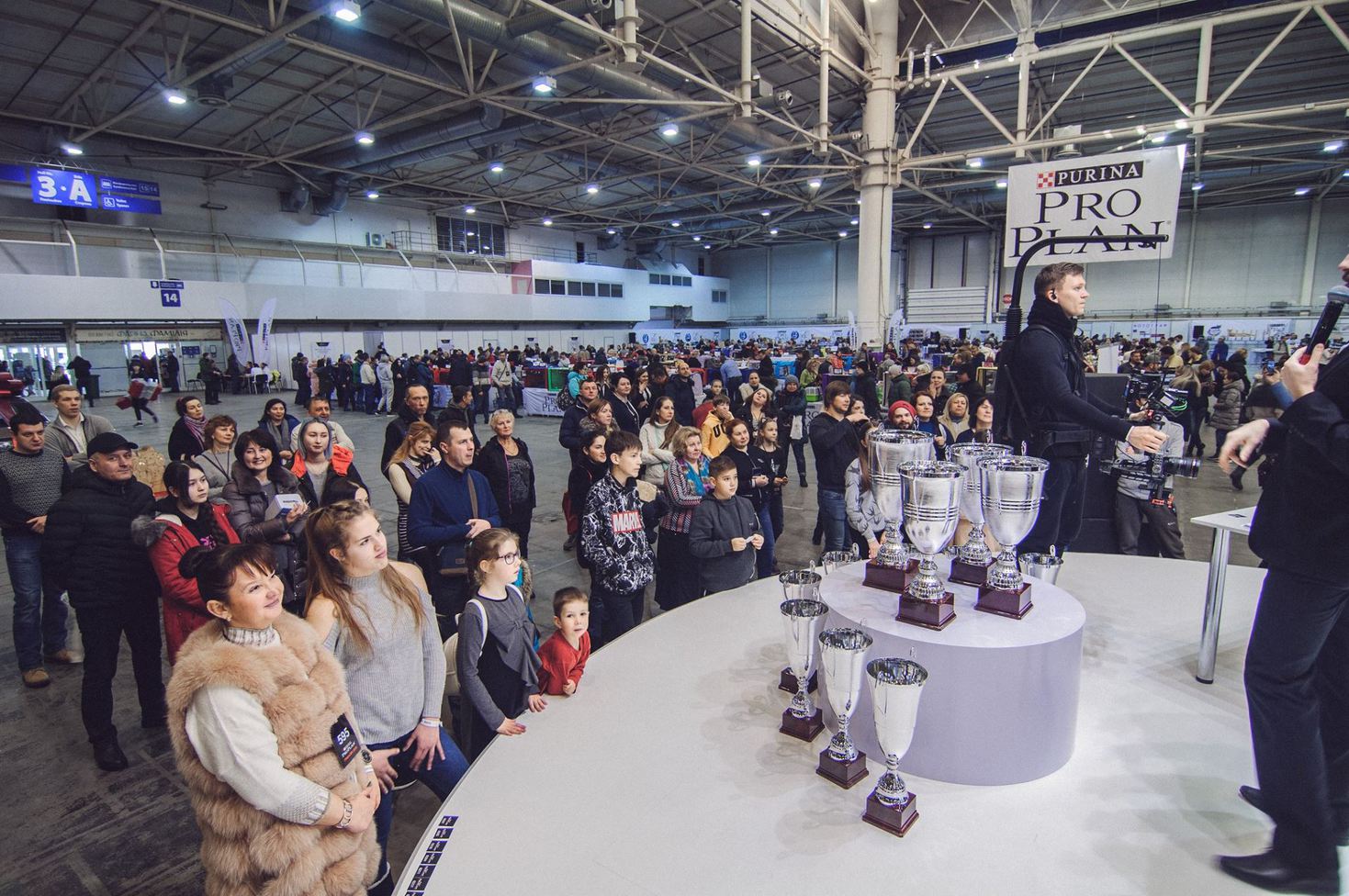 Міжнародна виставка котів Pro Plan® Гран Прі 2018