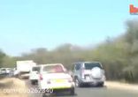 Вот так и убегают от хищников!
