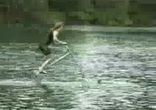 aquajump