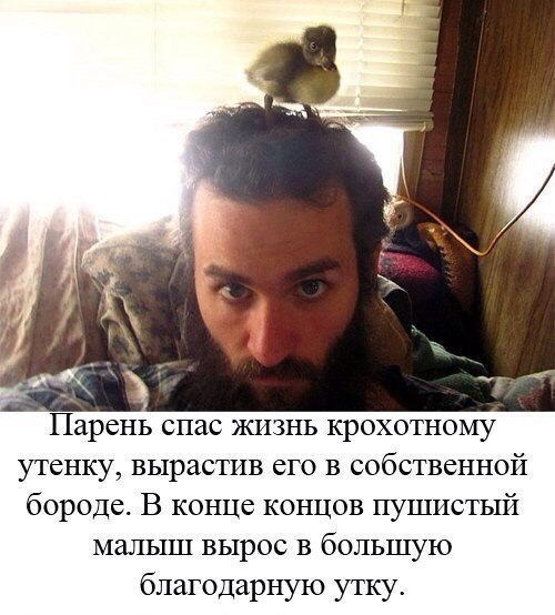 Делать добро так просто