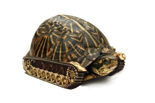 Как использовать животных