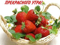 Прекрасного ранку