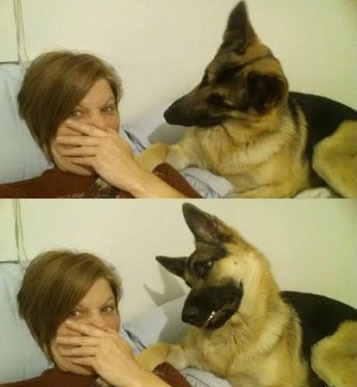 Тот момент, когда собака хочет поцеловать...