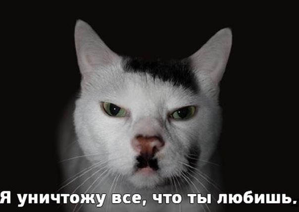 Милые усатики