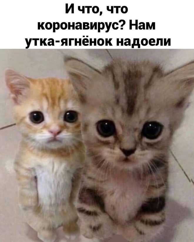 Наташа, нам надоело