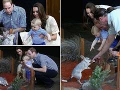 Кейт Миддлтон и принц Уильяма