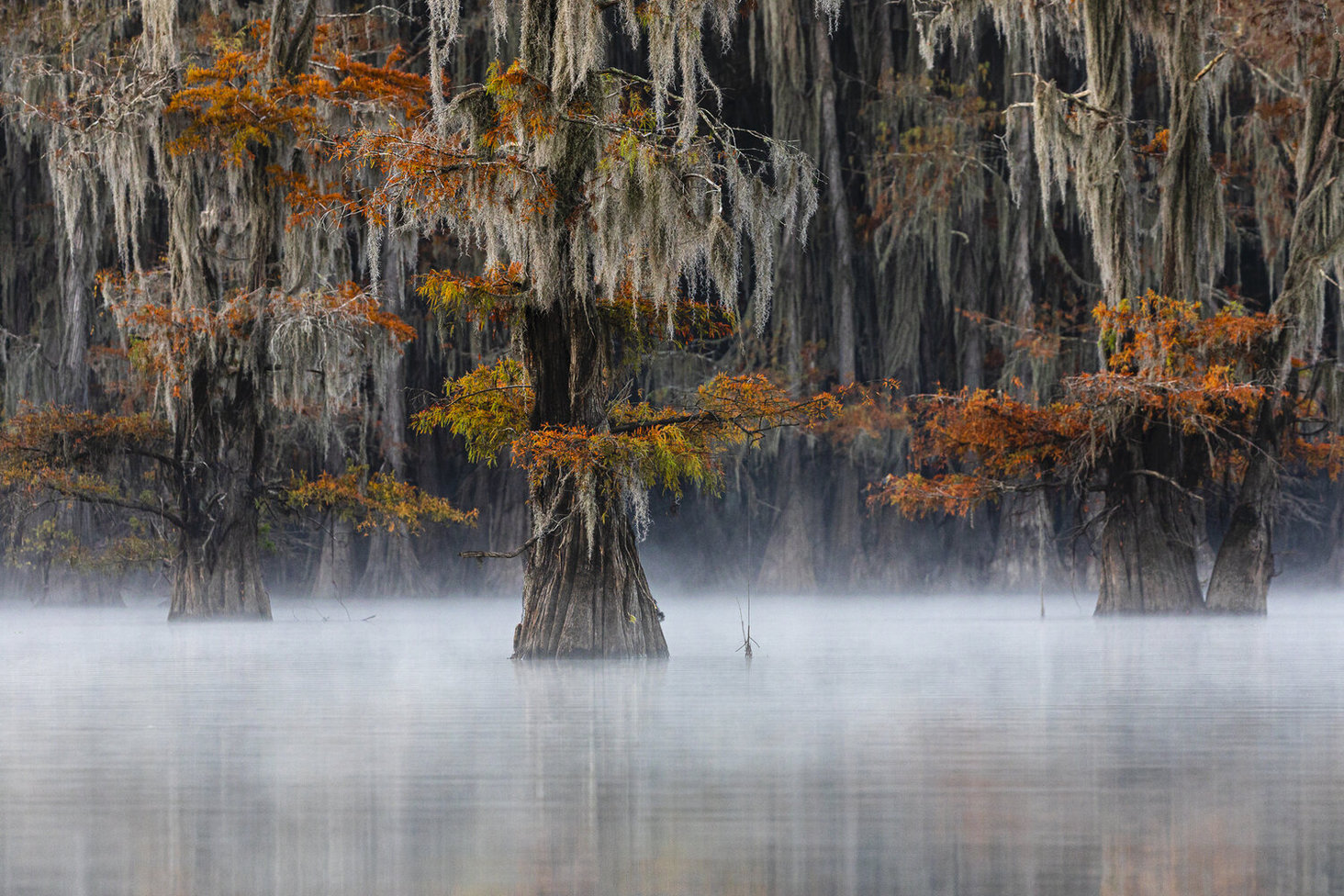 World Nature Photography Awards 2020