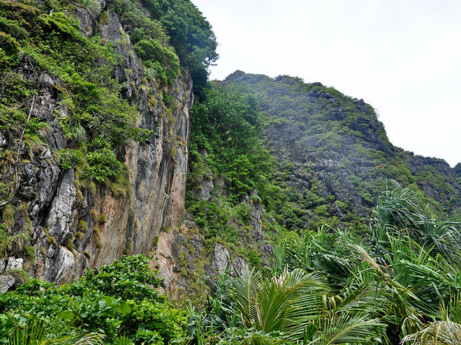 Кінотуризм: Острів Пхі-Пхі-Ле (Phi Phi Lay)