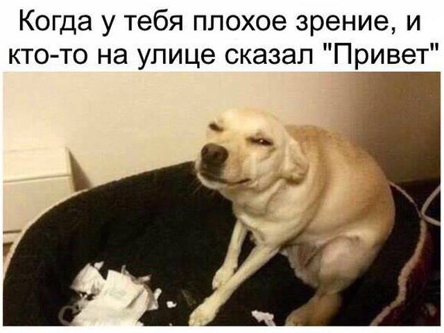 Плохое зрение картинки приколы, днем рождения