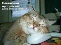 Открытка настоящему программисту