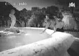 У фонтана