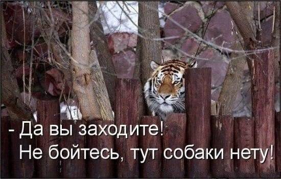 Да вы не бойтесь, я не кусаюсь!