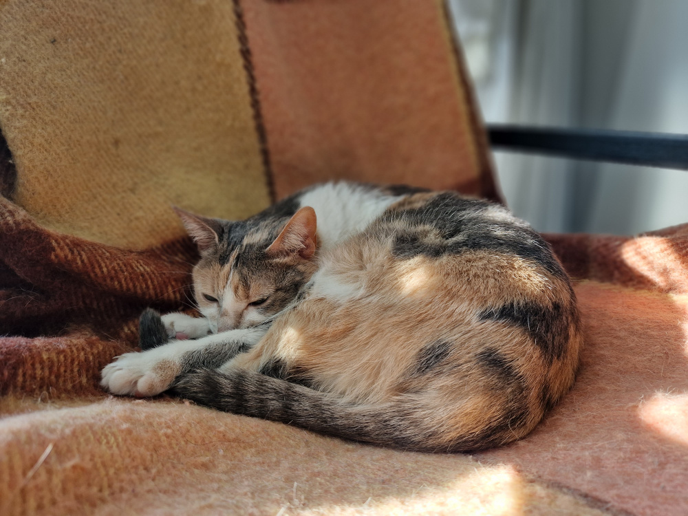 samsung galaxy s22 обзор