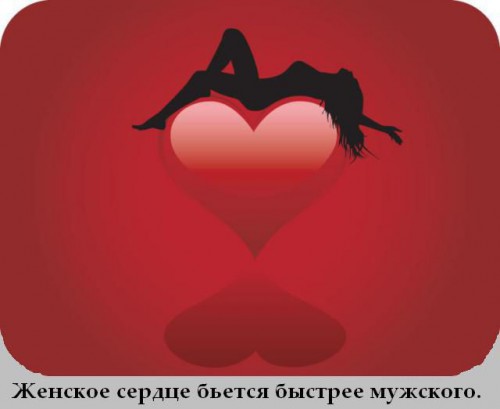 Топ интересных фактов