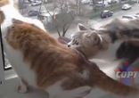 ДЕНЬ 44 ЛУЧШИЕ ПРИКОЛЫ