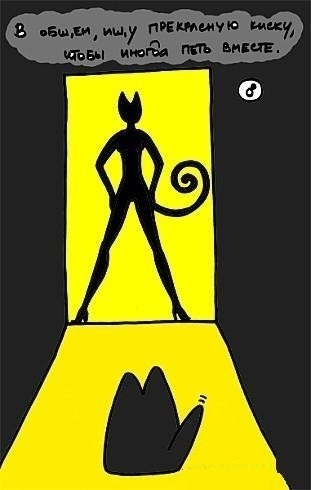 Одинокий котэ ищет любовь