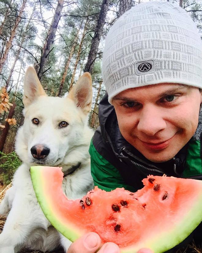 звездные питомцы