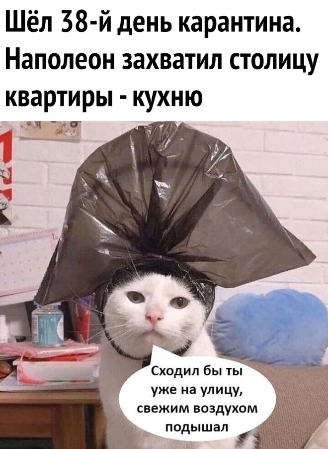 Наполеон на карантине