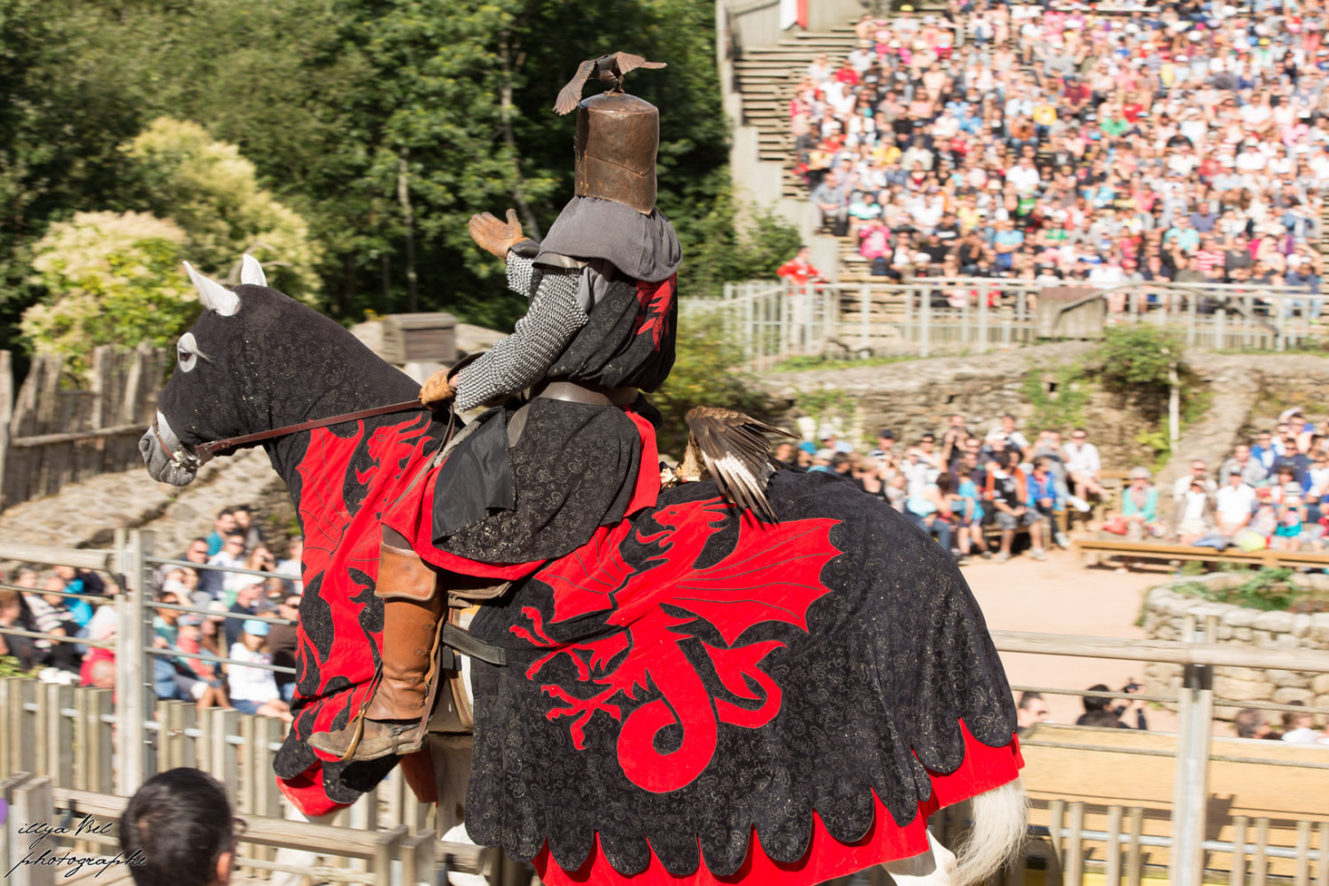 Бал птиц Фантомов (Le Bal des Oiseaux Fantômes)