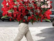 Открытки ко Дню Рождения