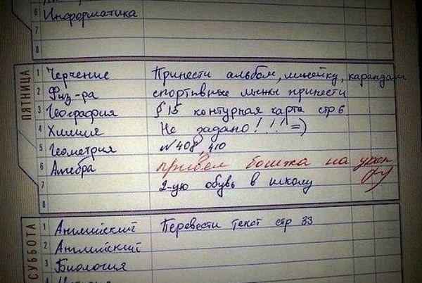 Записи в дневниках