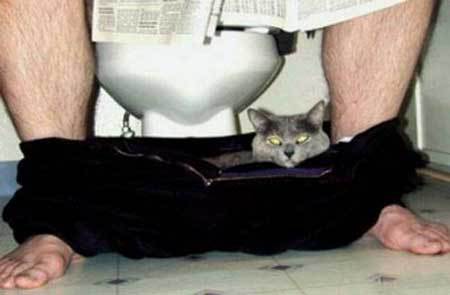 Ржачные фотоприколы