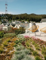 Игривый и светлый дом в Сан-Франциско