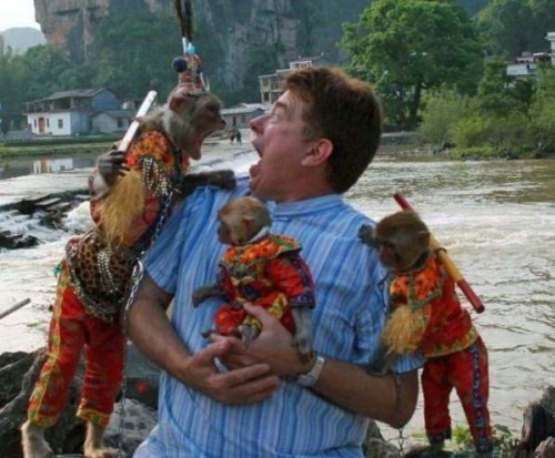 Смешные фотоприколы