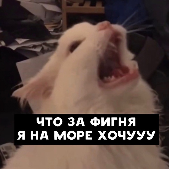 Песенка про лето