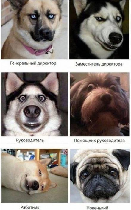 Наш рабочий коллектив