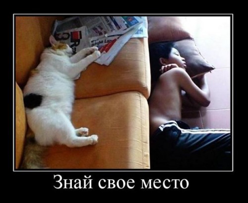 Прикольные демотиваторы