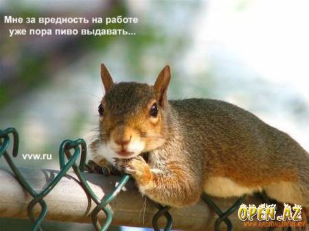 Ну... За Пятницу