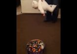 Миссия невыполнима, крошка!
