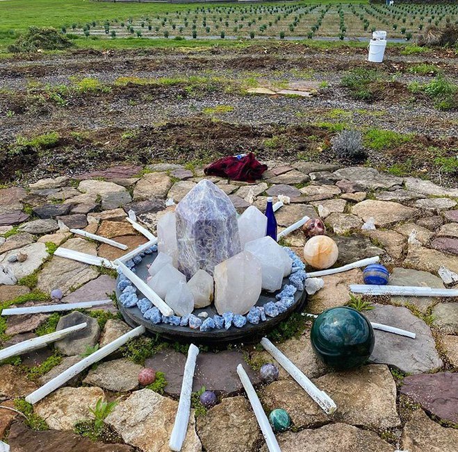 Белла Хадид показала, как сажает лаванду на карантине