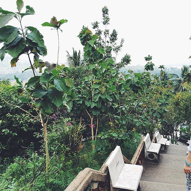 Водонаева в Таиланде