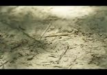 Angelina Jolie's Journey to Cambodia (Louis Vuitton Full Commercial)