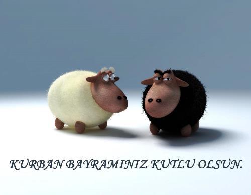 Куйрам - байрам