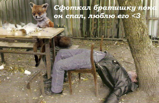 Лиса-наркоман