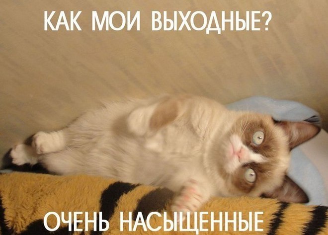 Мои выходные полны приключений