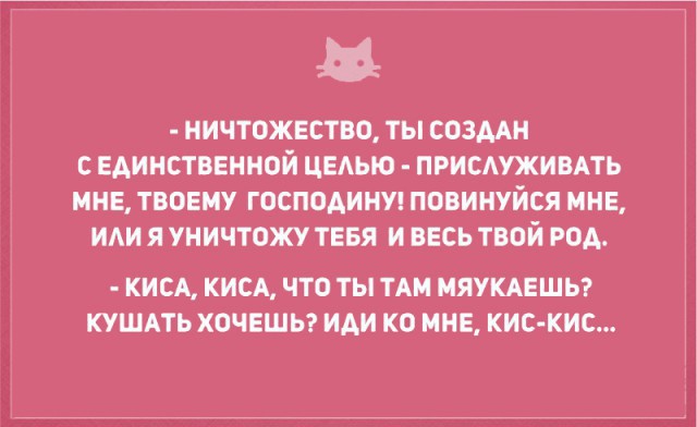 Без кота и жизнь не та