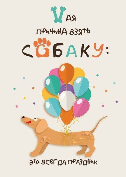 7 причин завести собаку!