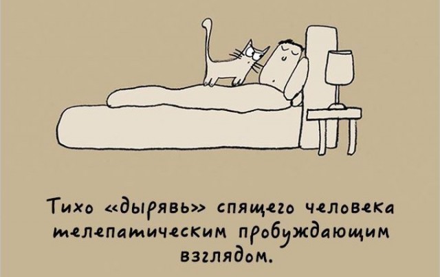 Милый комикс про котов