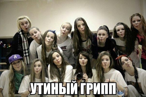 Утиный грипп