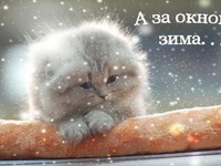 А за окном зима...