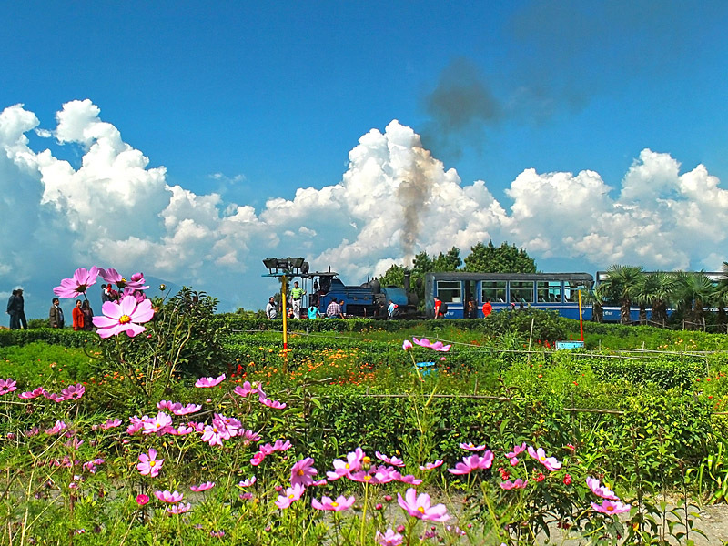 Кінотуризм: Поїзд на Дарджилінг