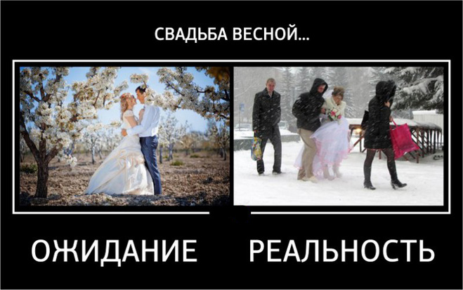 ТОп прикольных демотиваторов про свадьбу